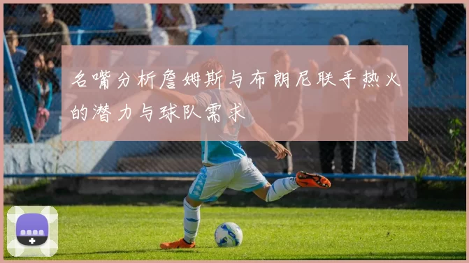 名嘴分析詹姆斯与布朗尼联手热火的潜力与球队需求