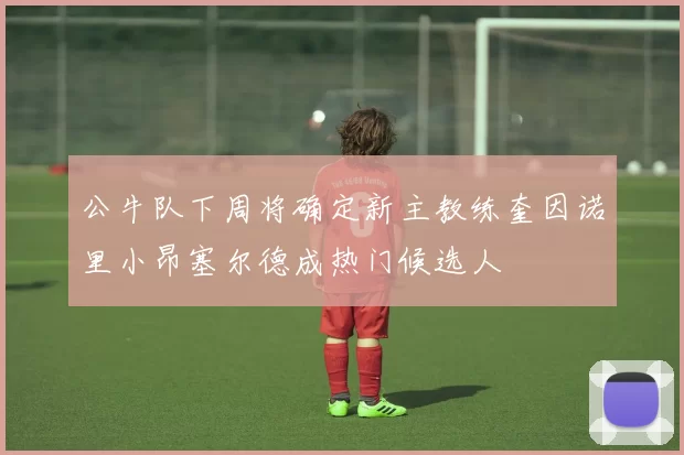 公牛队下周将确定新主教练奎因诺里小昂塞尔德成热门候选人
